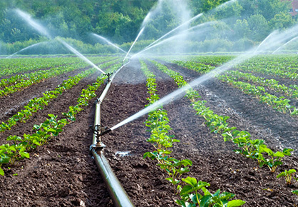 El papel de los agentes de retención de agua en la agricultura sostenible