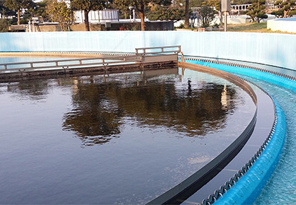 La Aplicación de polímero catiónico en el tratamiento de aguas