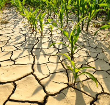 Principios de absorción de agua y categorías de agentes de retención de agua